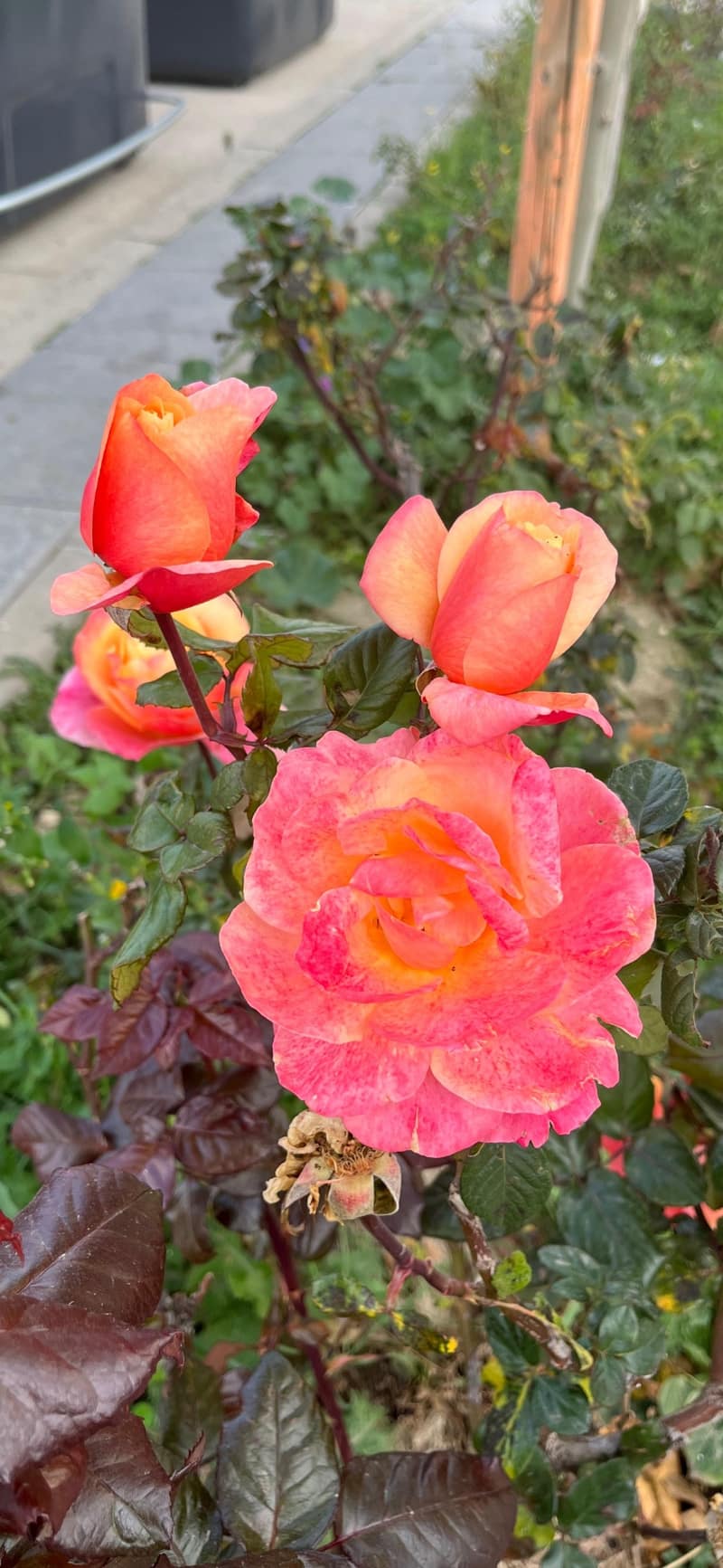 Open photo Listing photo