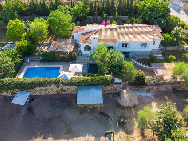 Open photo Listing photo