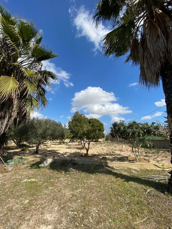 Open photo Listing photo