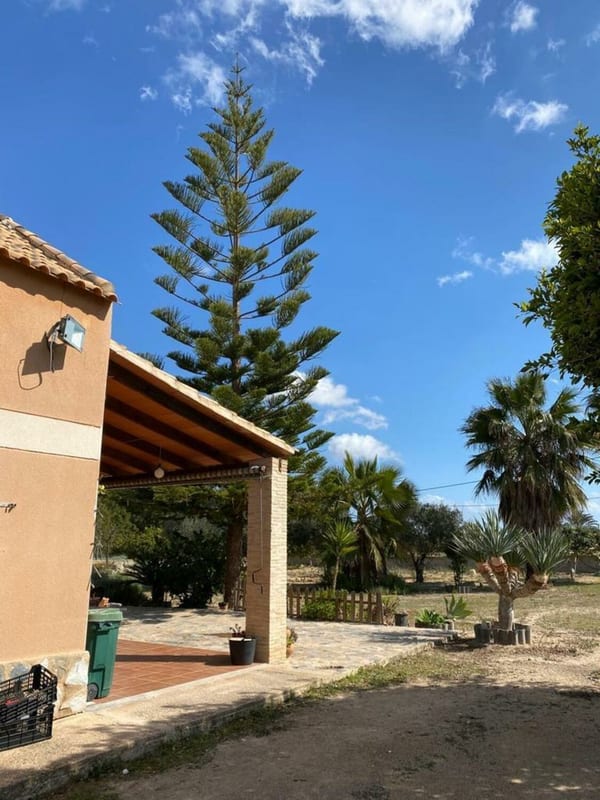 Open photo Listing photo