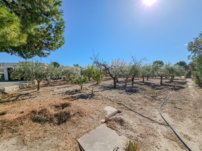 Open photo Listing photo