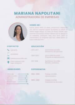 Currículum vitae profesional